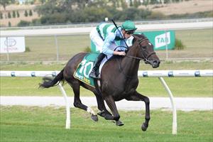 NICE FUTURE AHEAD FOR INEXPERIENCED FILLY